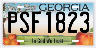 GA license plate PSF1823