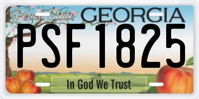 GA license plate PSF1825