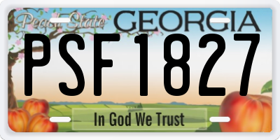 GA license plate PSF1827