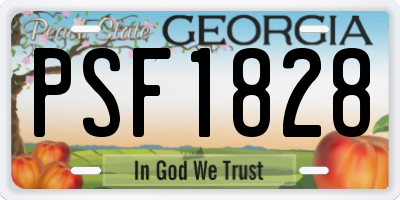 GA license plate PSF1828