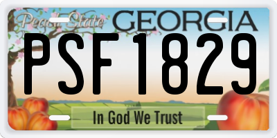 GA license plate PSF1829
