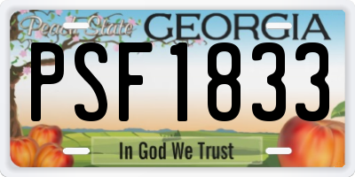 GA license plate PSF1833