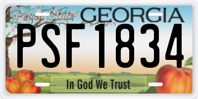 GA license plate PSF1834