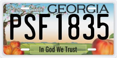 GA license plate PSF1835