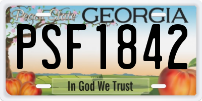 GA license plate PSF1842