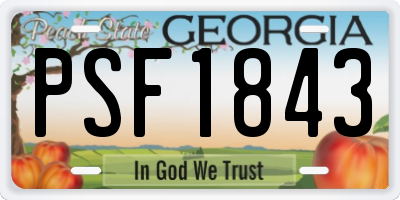 GA license plate PSF1843
