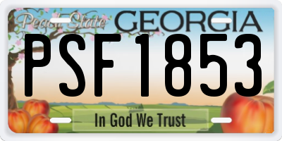 GA license plate PSF1853