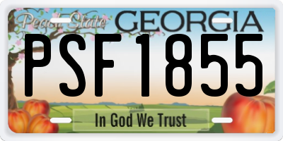 GA license plate PSF1855