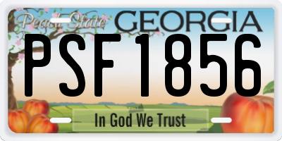 GA license plate PSF1856