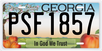 GA license plate PSF1857