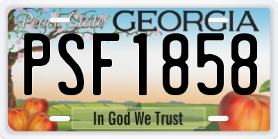 GA license plate PSF1858