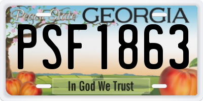 GA license plate PSF1863