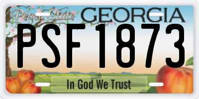 GA license plate PSF1873