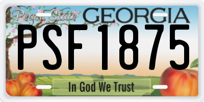 GA license plate PSF1875