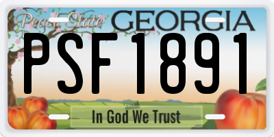GA license plate PSF1891