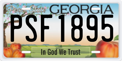 GA license plate PSF1895