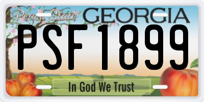 GA license plate PSF1899