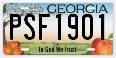GA license plate PSF1901