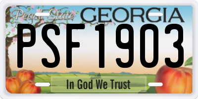 GA license plate PSF1903