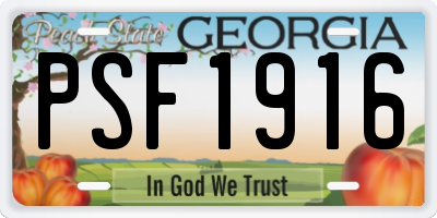 GA license plate PSF1916