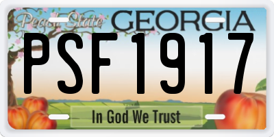 GA license plate PSF1917