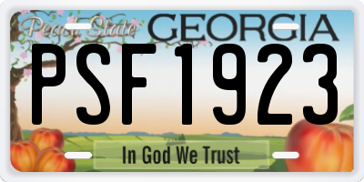 GA license plate PSF1923