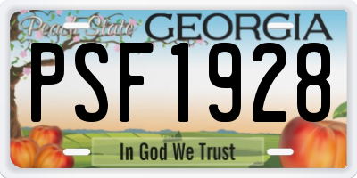 GA license plate PSF1928