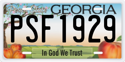 GA license plate PSF1929
