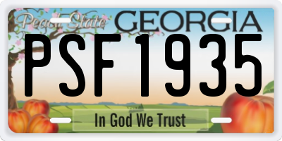 GA license plate PSF1935