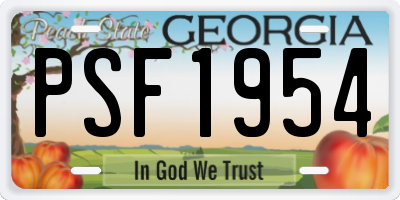 GA license plate PSF1954