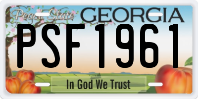 GA license plate PSF1961