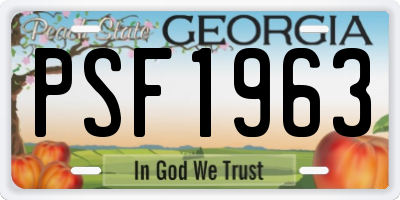 GA license plate PSF1963