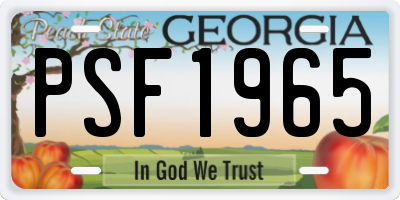 GA license plate PSF1965
