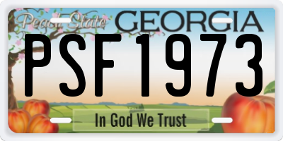 GA license plate PSF1973