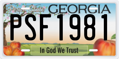 GA license plate PSF1981