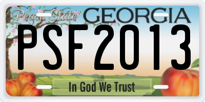GA license plate PSF2013