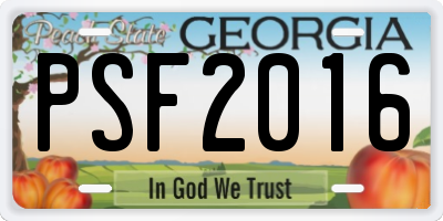 GA license plate PSF2016