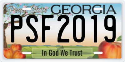 GA license plate PSF2019