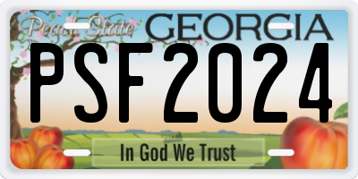 GA license plate PSF2024