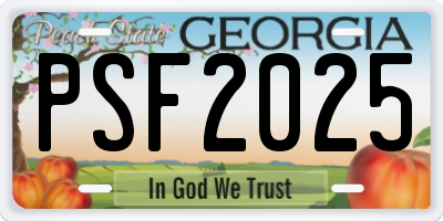 GA license plate PSF2025