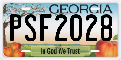 GA license plate PSF2028