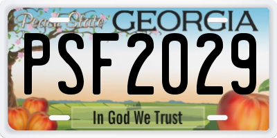 GA license plate PSF2029