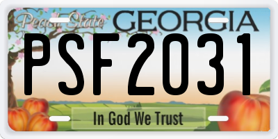 GA license plate PSF2031