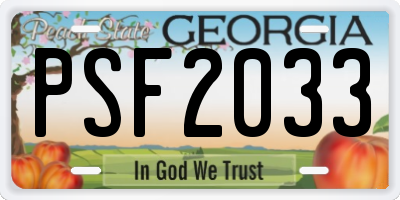 GA license plate PSF2033