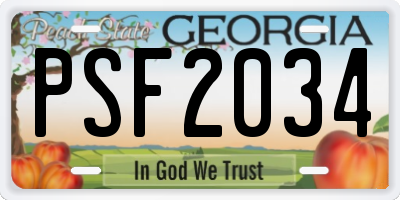 GA license plate PSF2034