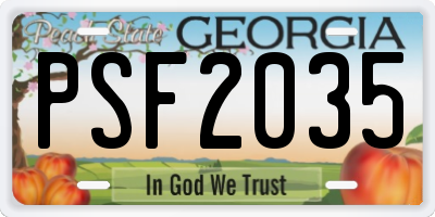 GA license plate PSF2035