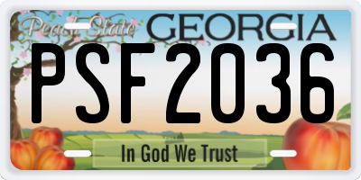 GA license plate PSF2036