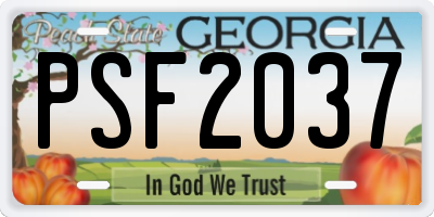 GA license plate PSF2037