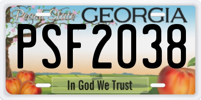 GA license plate PSF2038