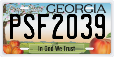 GA license plate PSF2039